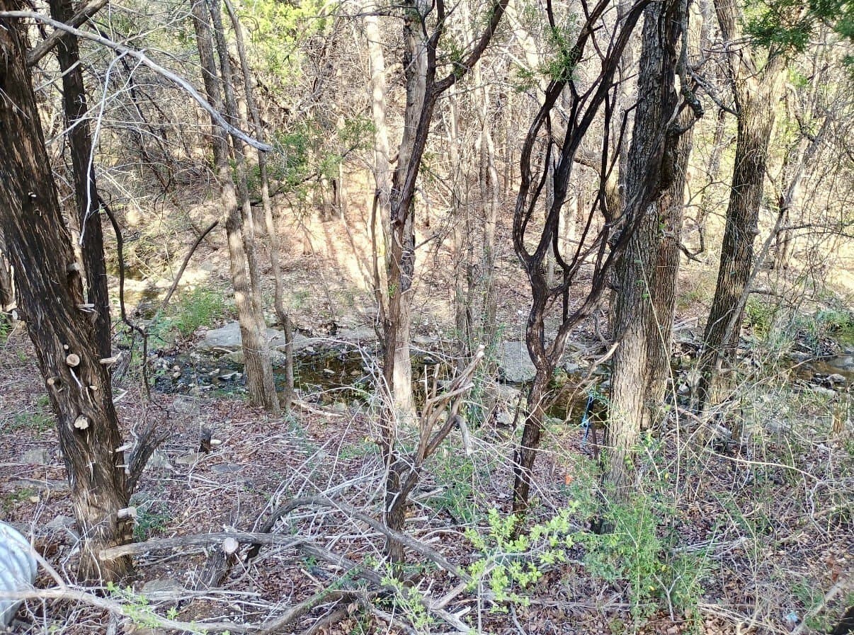 0.29 acres in Hood County - photo 3