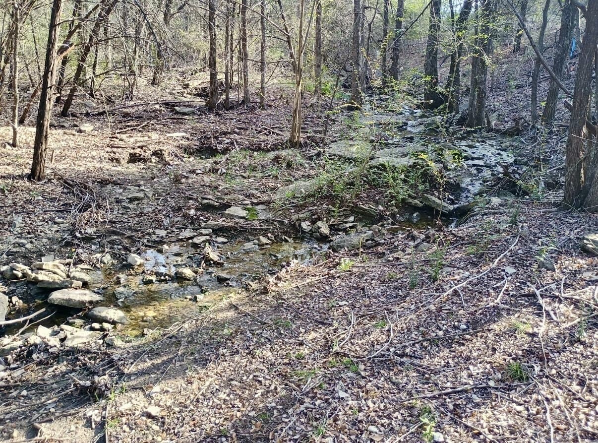 0.29 acres in Hood County - photo 5