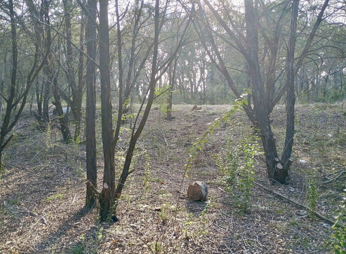 0.29 acres in Hood County - photo 4