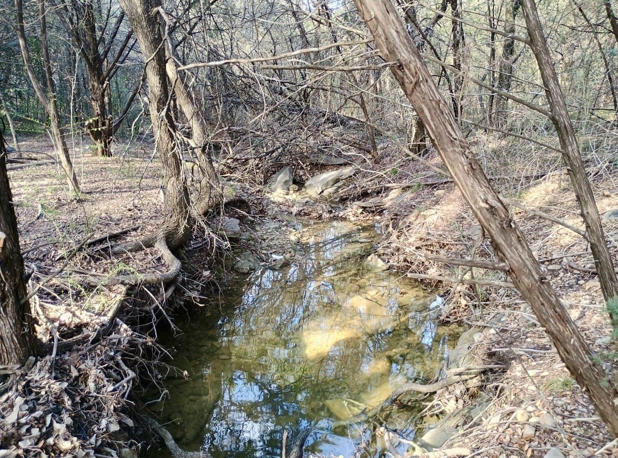 0.29 acres in Hood County - photo 2