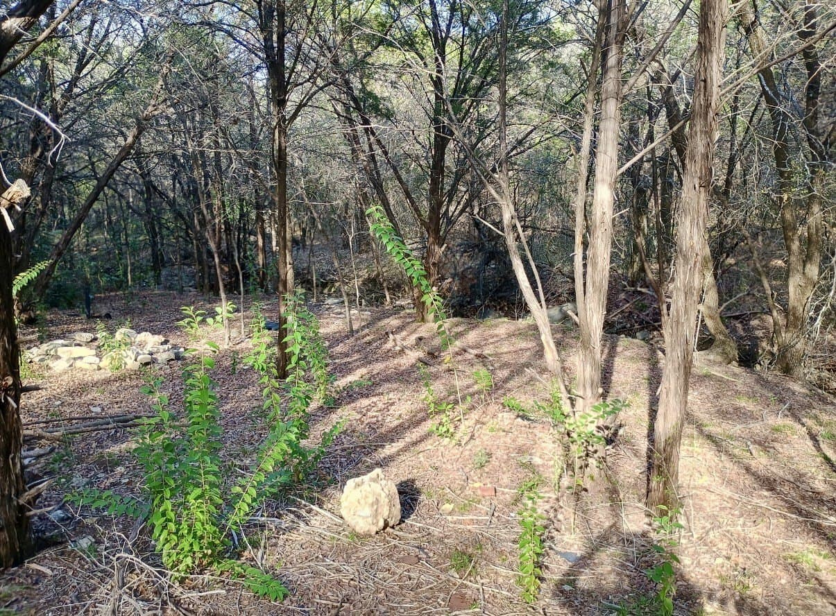0.29 acres in Hood County
