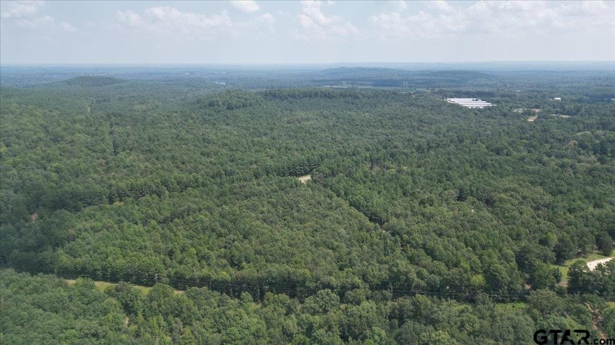 1.83 acres in Upshur County - photo 4