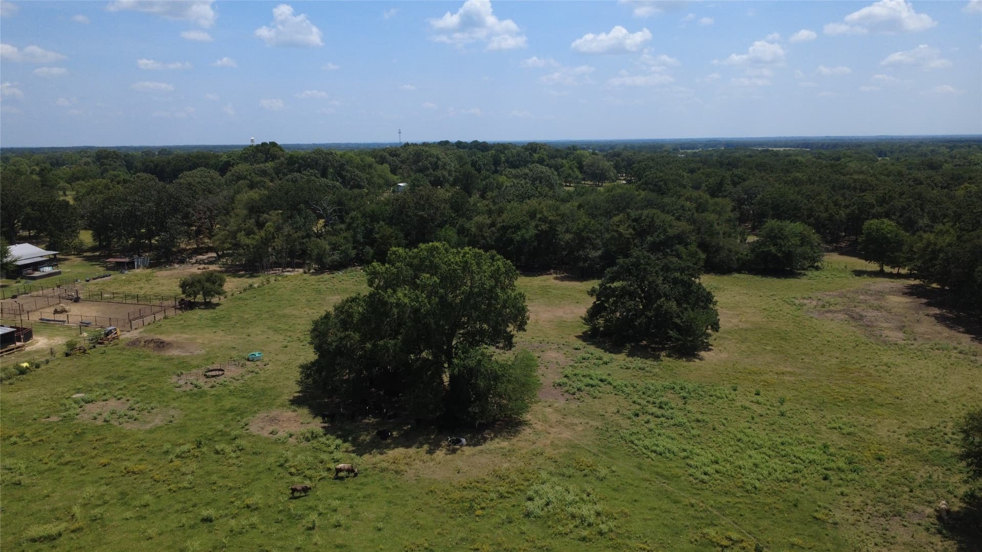 14.53 acres in Rains County - photo 13