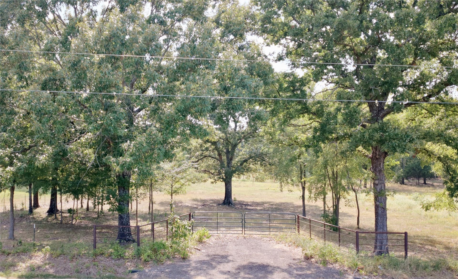 14.53 acres in Rains County - photo 5