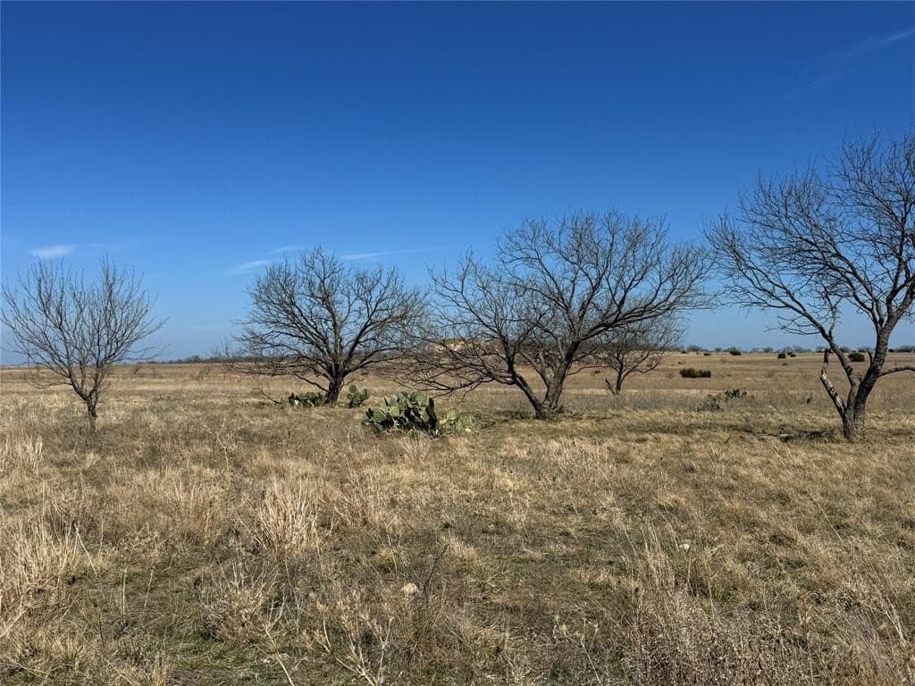 19 acres in Hamilton County gallery image 2