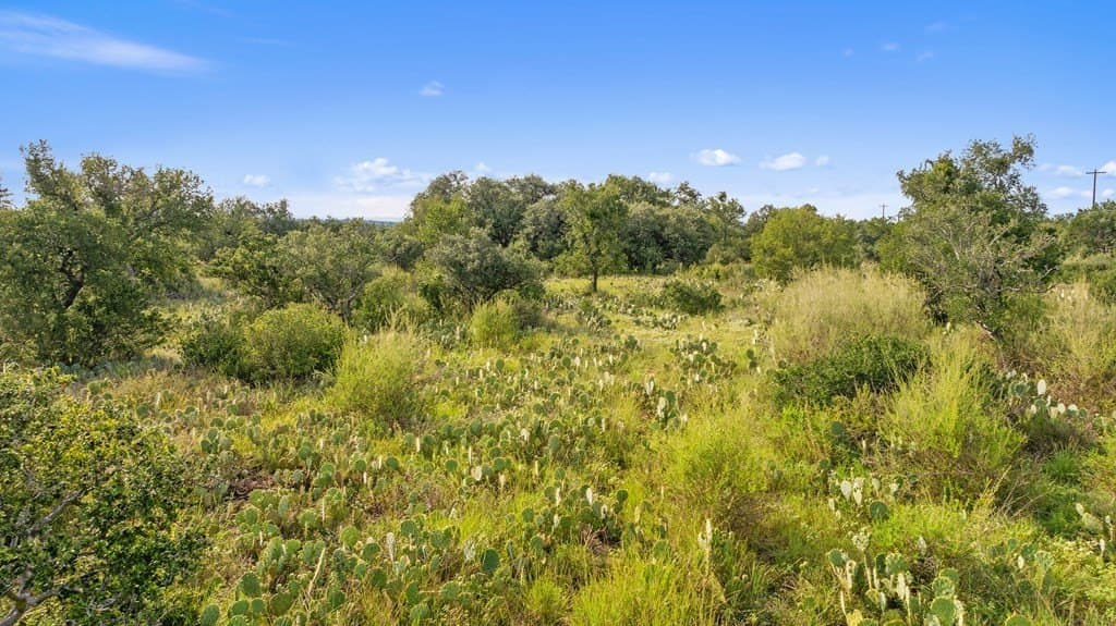 5 acres in Blanco County - photo 14