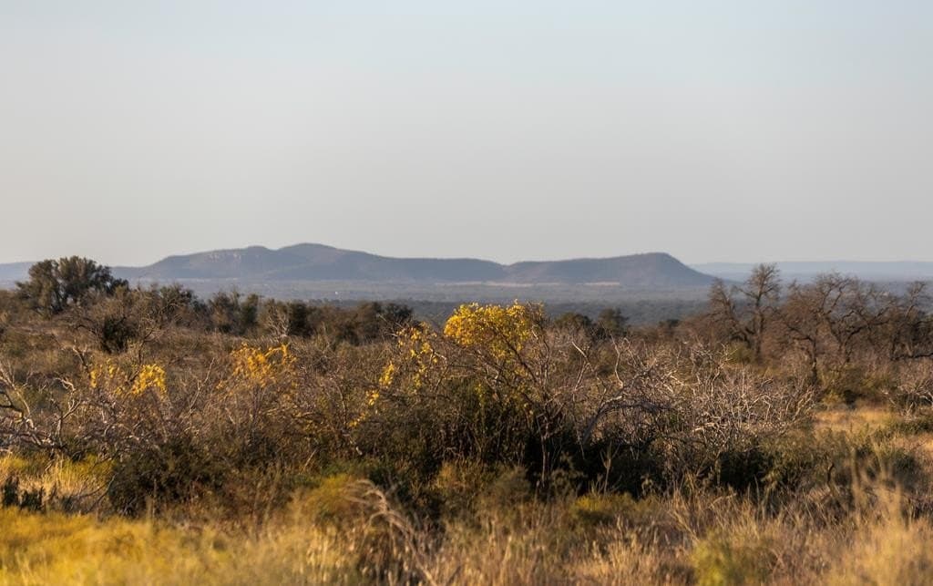 5 acres in Blanco County - photo 12