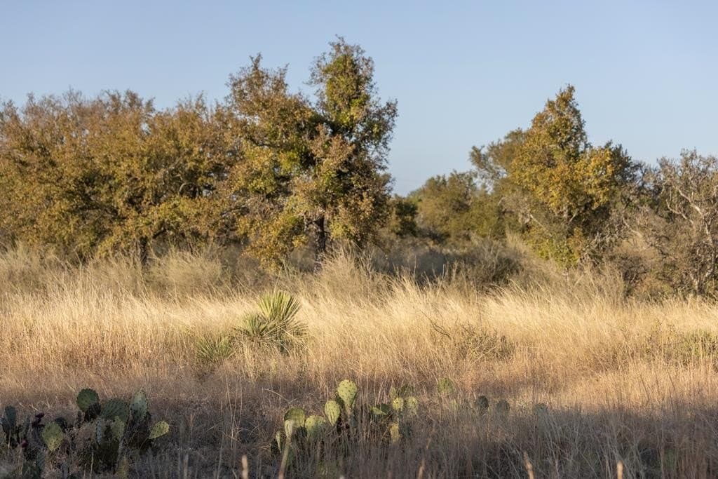 5 acres in Blanco County - photo 7