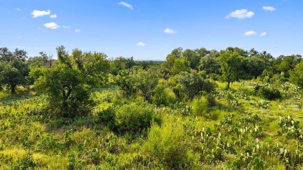 5 acres in Blanco County - photo 15