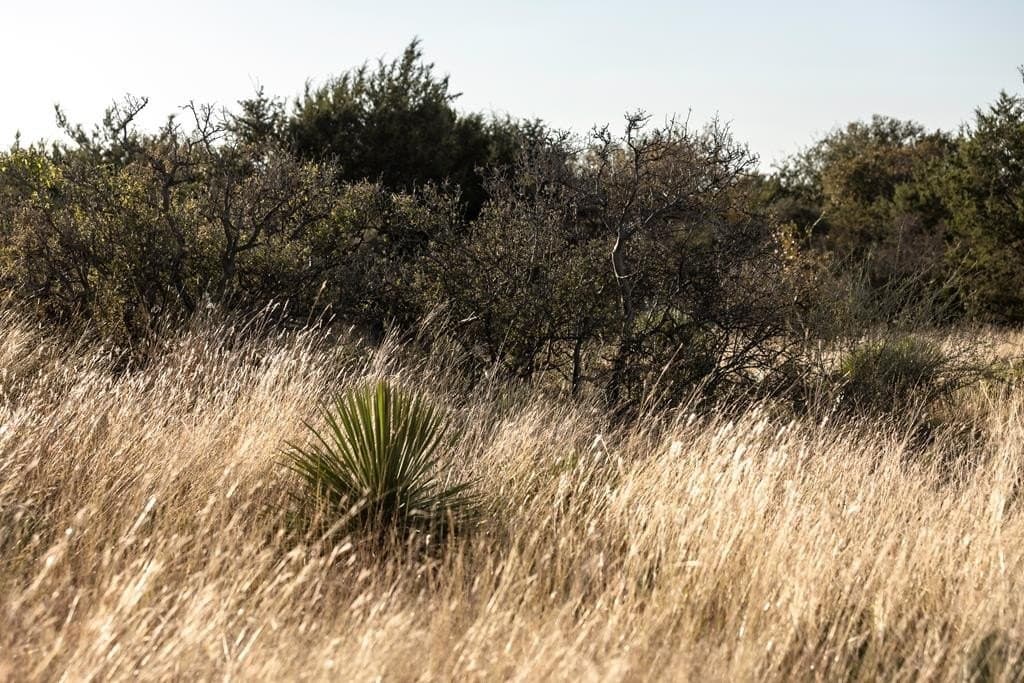 5 acres in Blanco County - photo 3