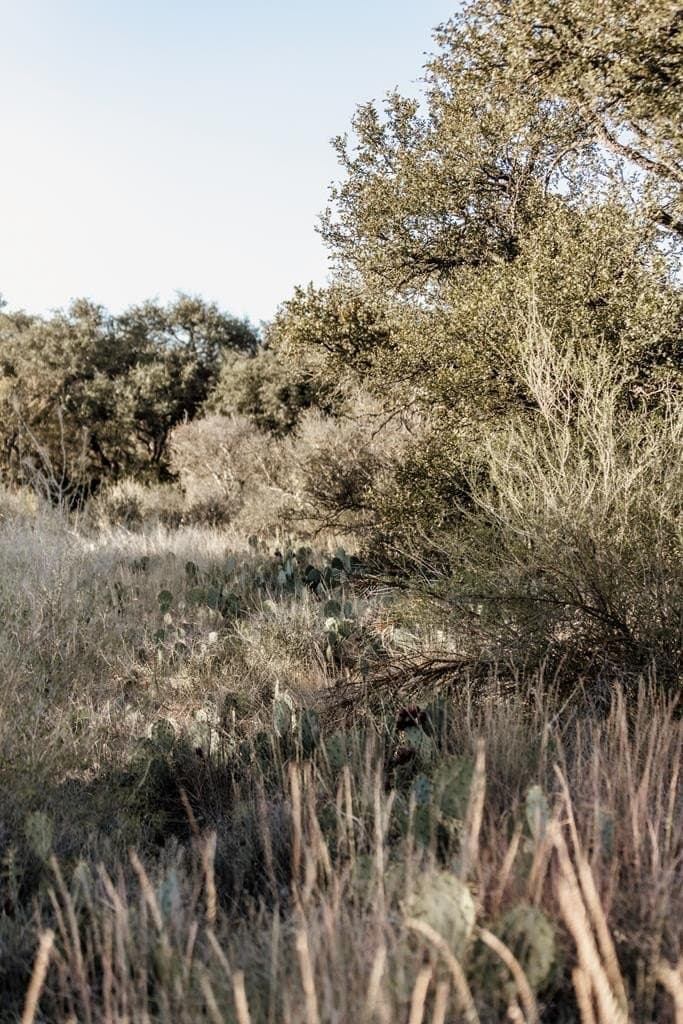 5 acres in Blanco County - photo 9
