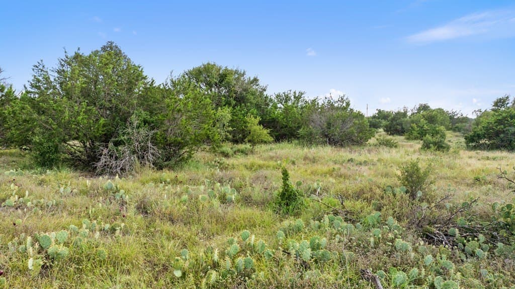 5 acres in Blanco County - photo 19
