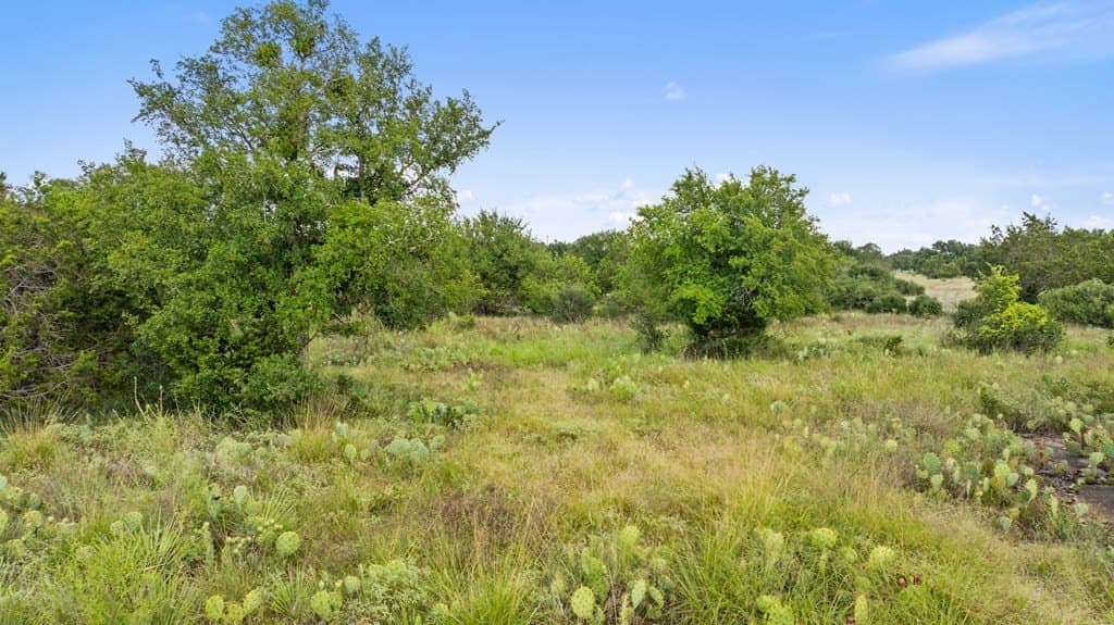 5 acres in Blanco County - photo 21
