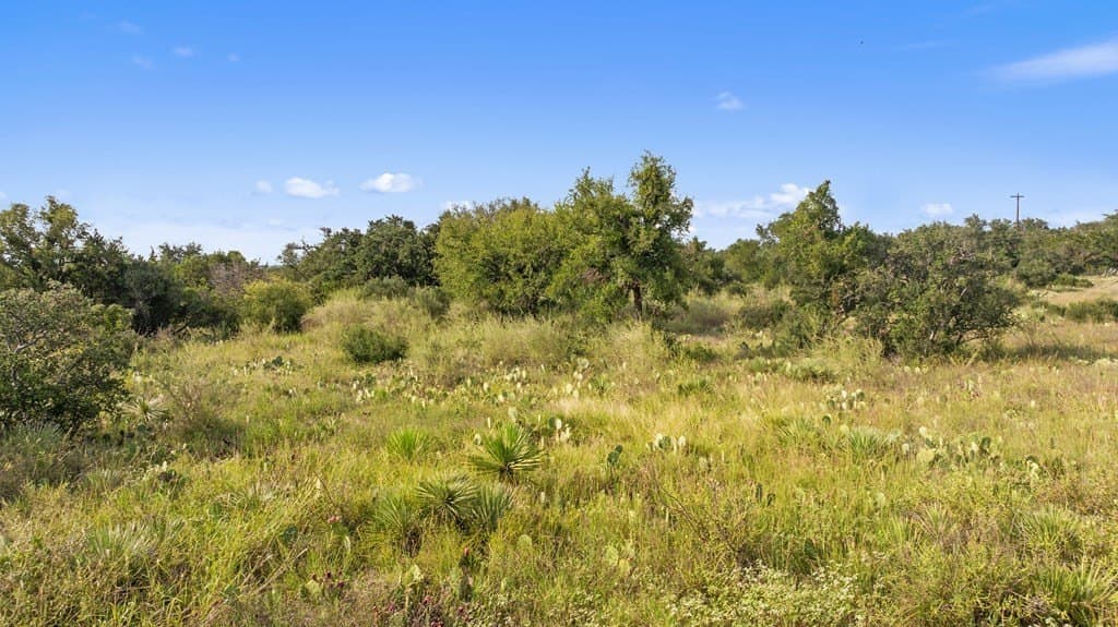 5 acres in Blanco County - photo 31