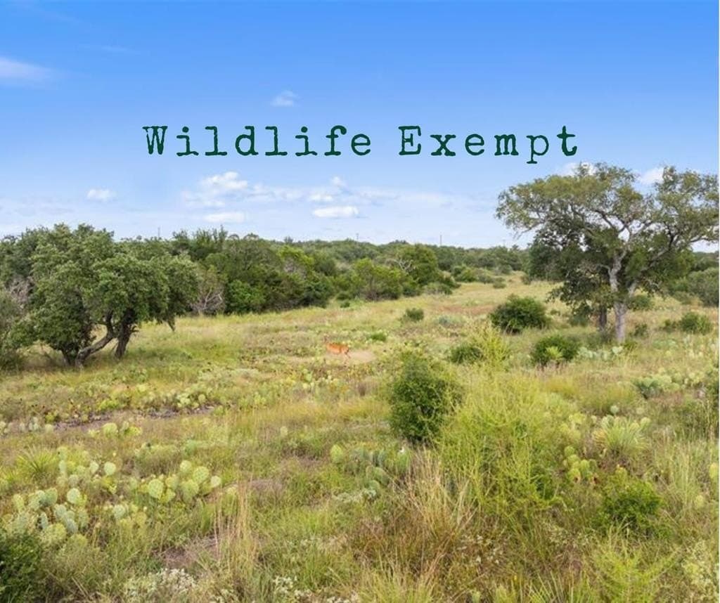 5 acres in Blanco County