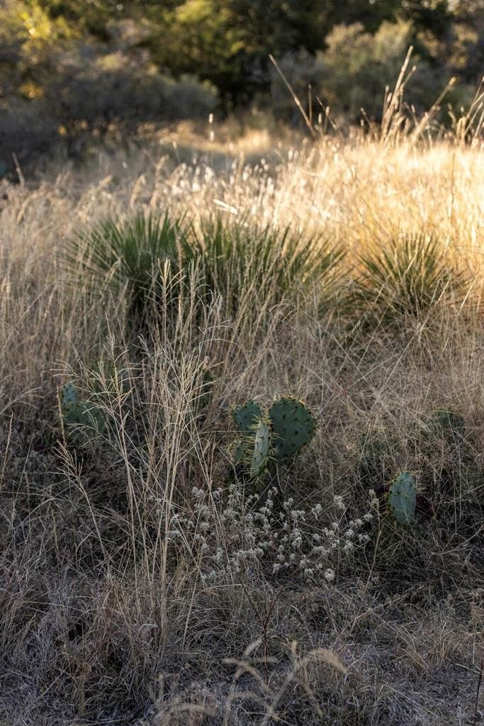 5 acres in Blanco County - photo 8