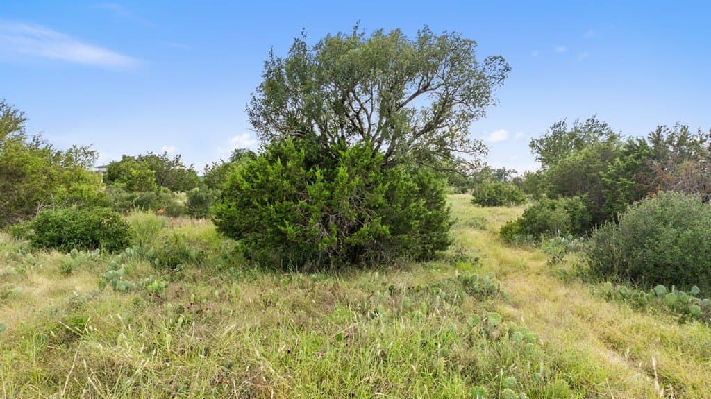 5 acres in Blanco County - photo 20