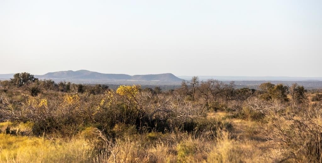 5 acres in Blanco County - photo 13