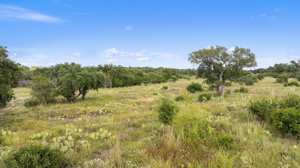 5 acres in Blanco County - photo 25