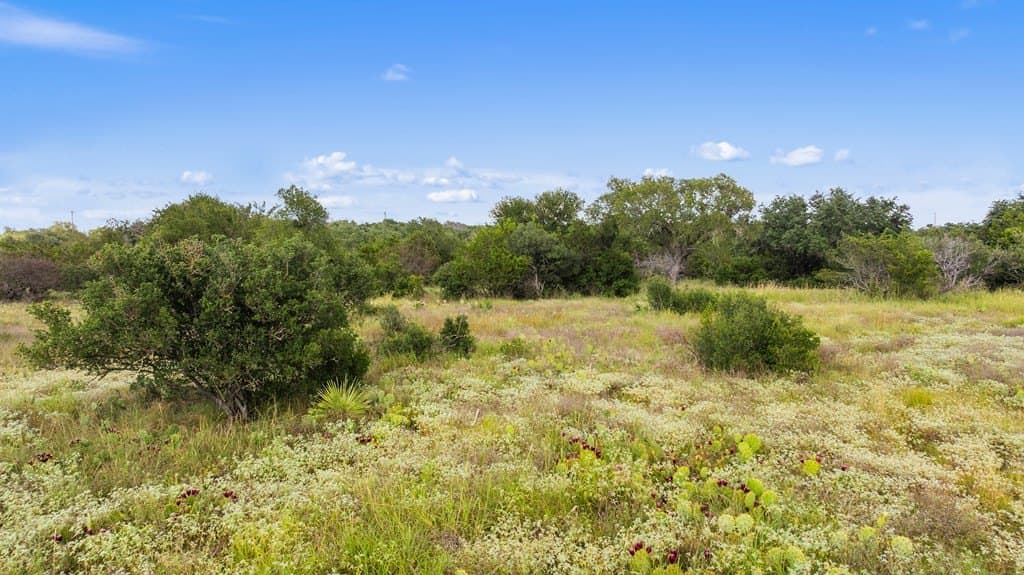 5 acres in Blanco County - photo 23
