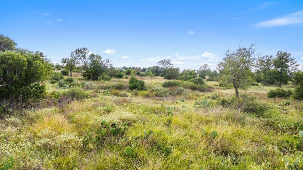 5 acres in Blanco County - photo 24