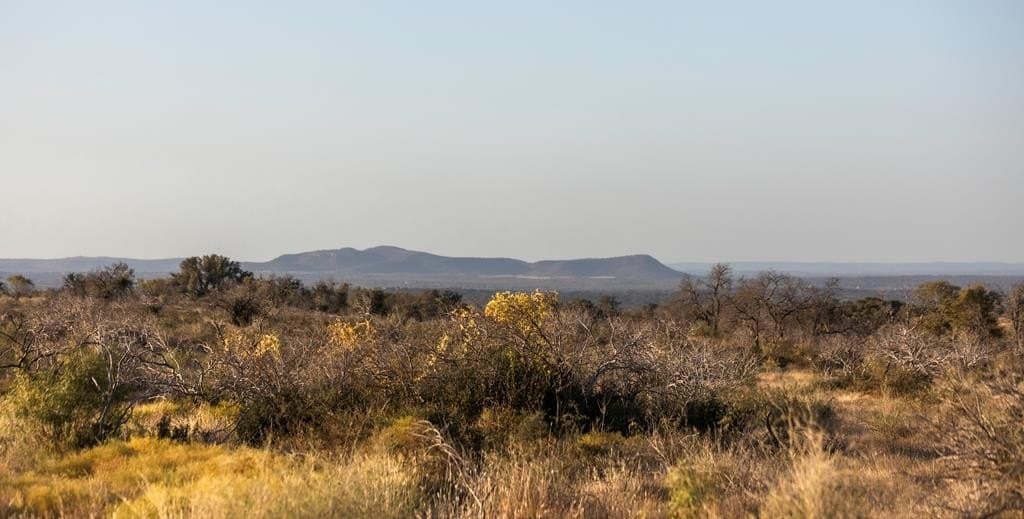 5 acres in Blanco County - photo 11