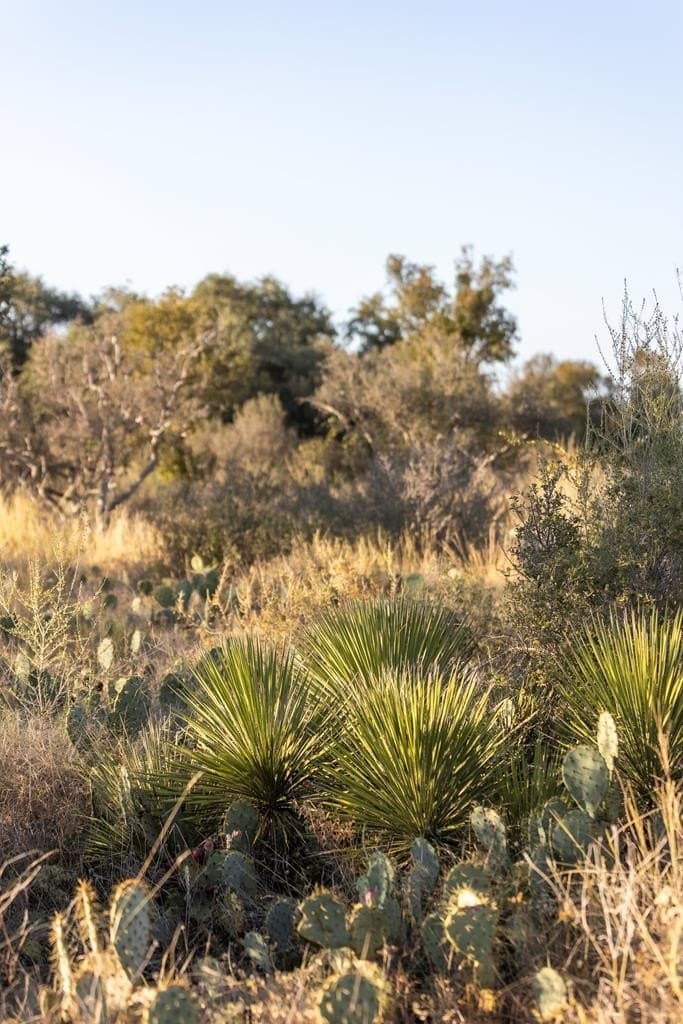 5 acres in Blanco County - photo 10