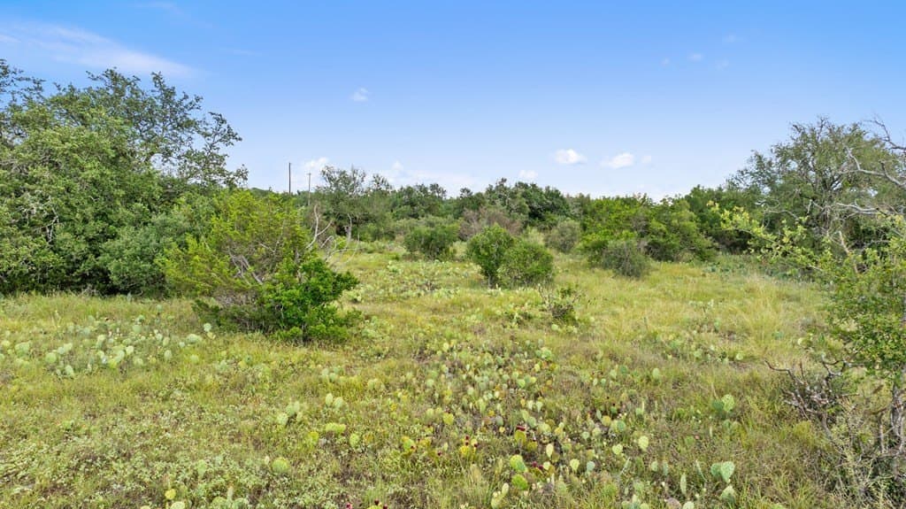 5 acres in Blanco County - photo 18
