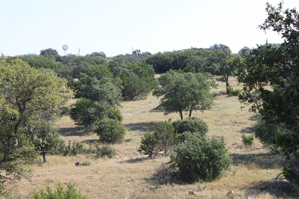 65 acres in Kimble County - photo 2