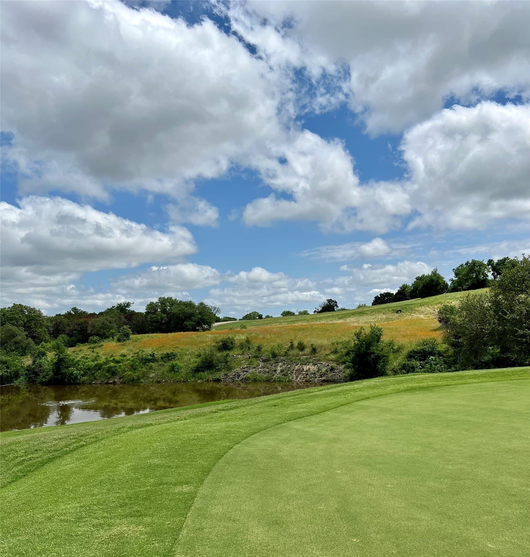 0.27 acres in Johnson County - photo 8