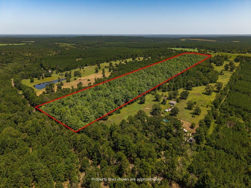 33 acres in Texas County - photo 6