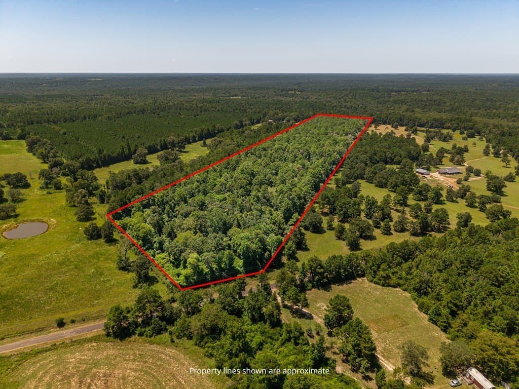 33 acres in Texas County gallery image 3