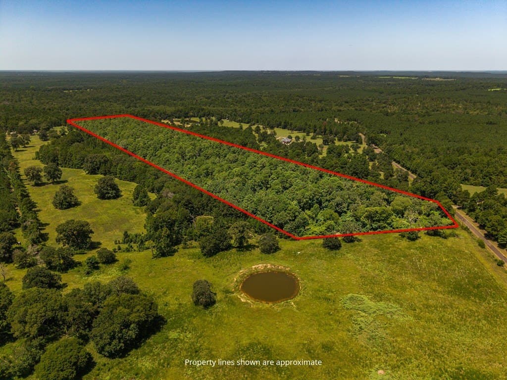 33 acres in Texas County gallery image 2