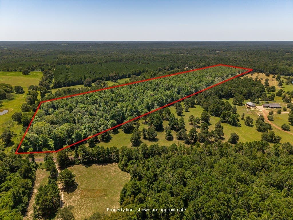 33 acres in Texas County - photo 7