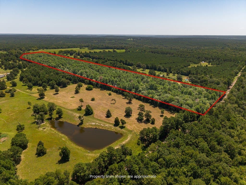 33 acres in Texas County gallery image 4