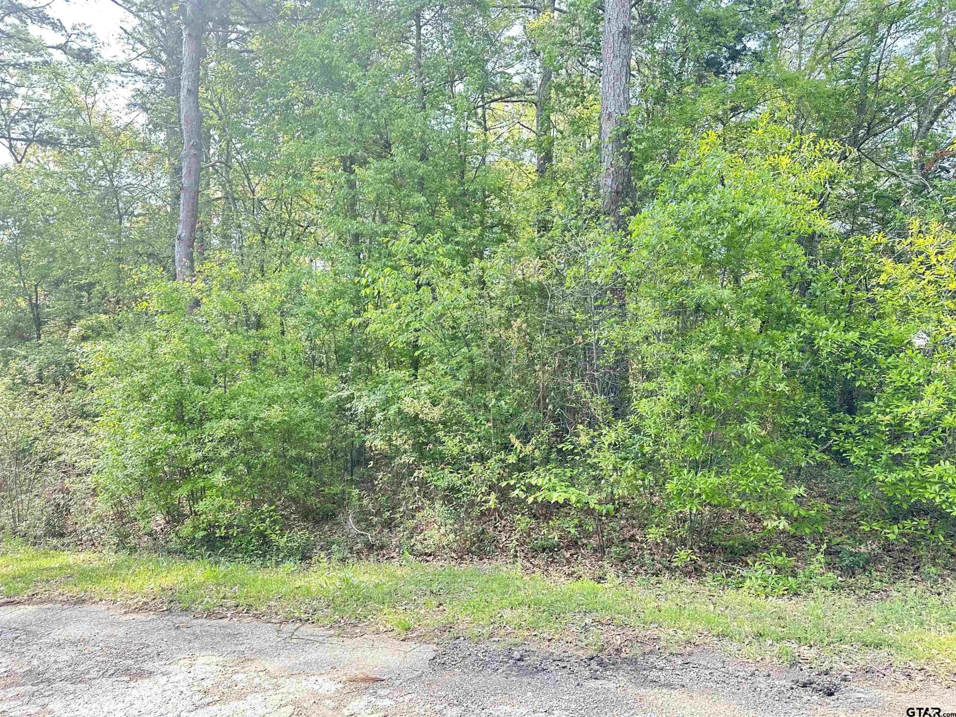 0.3 acres in Henderson County