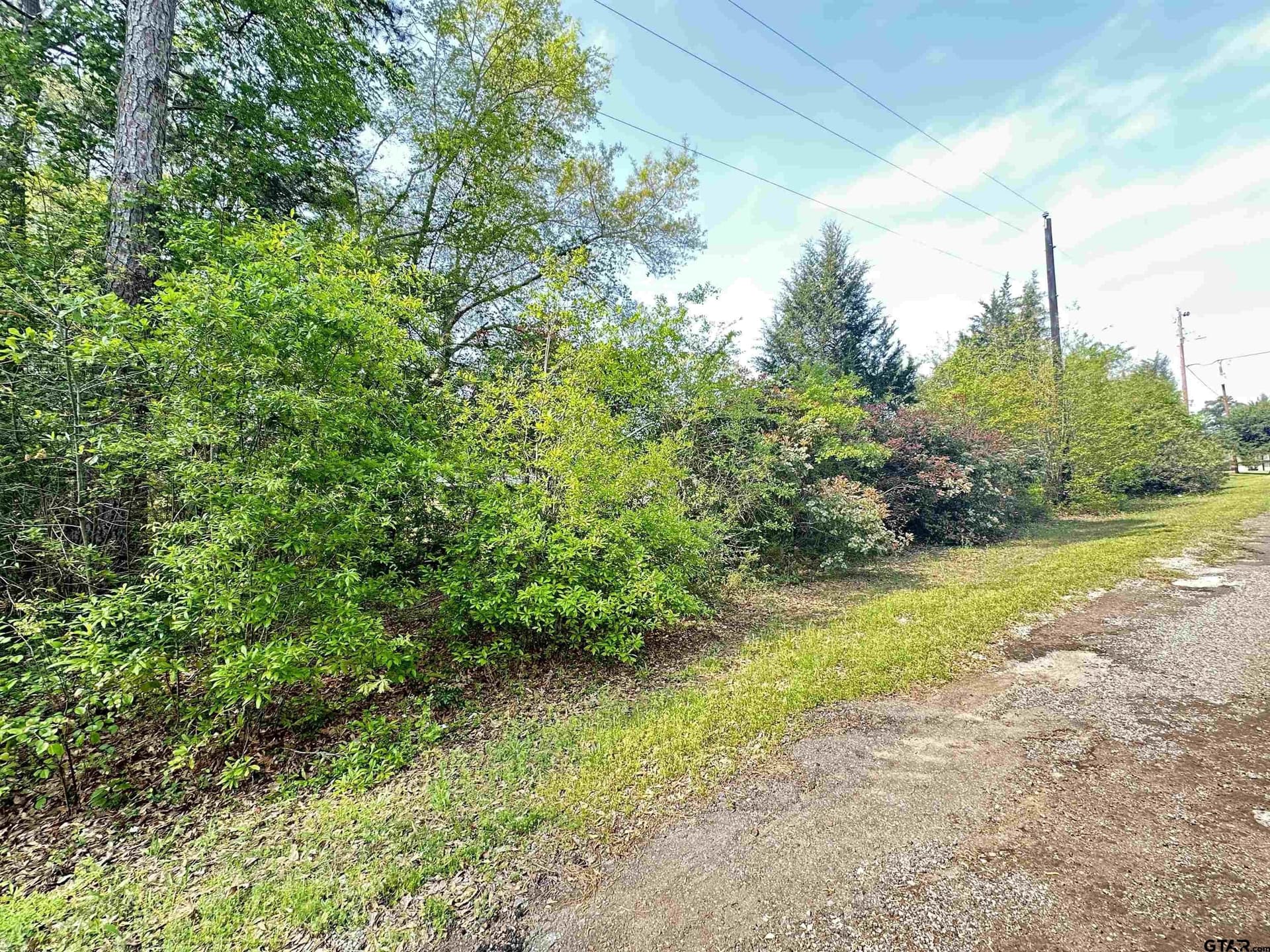 0.3 acres in Henderson County gallery image 2