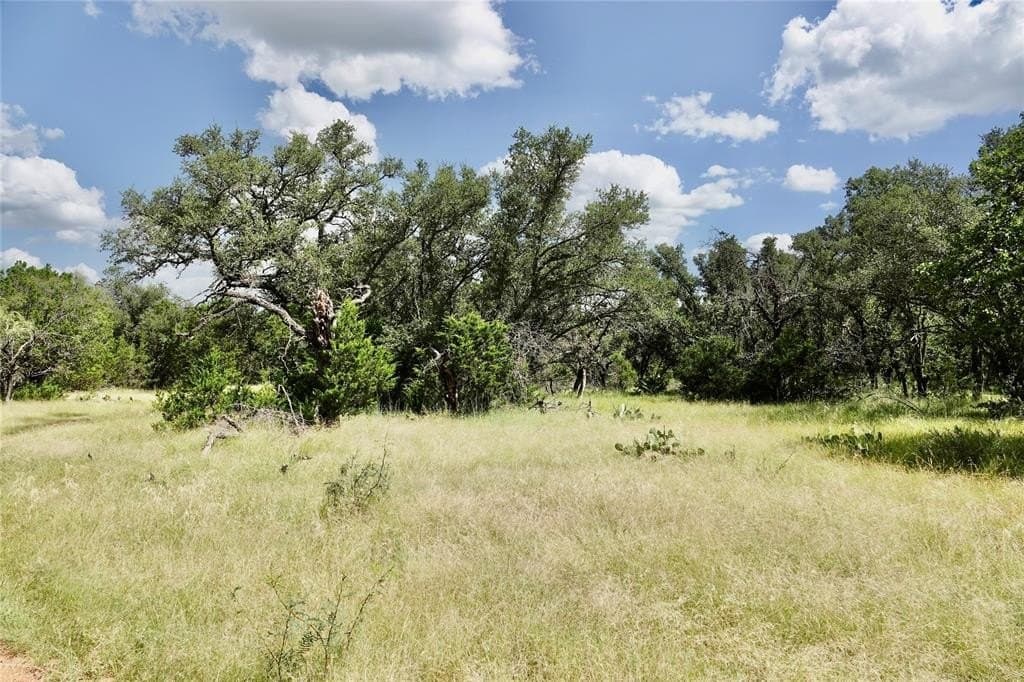 111 acres in Mills County gallery image 4