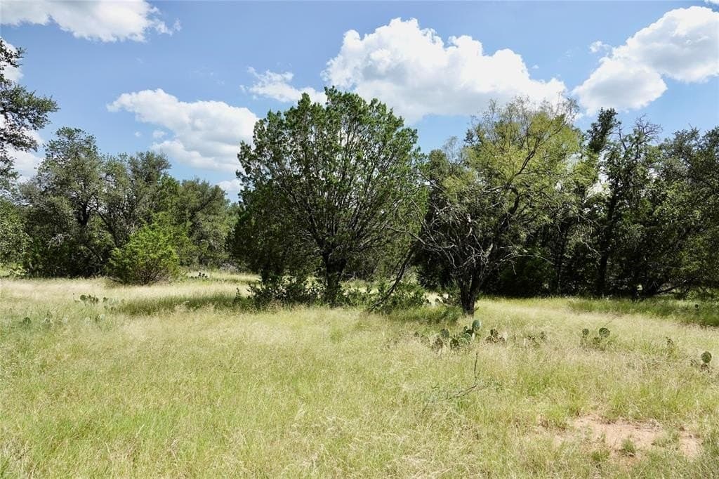 111 acres in Mills County gallery image 2