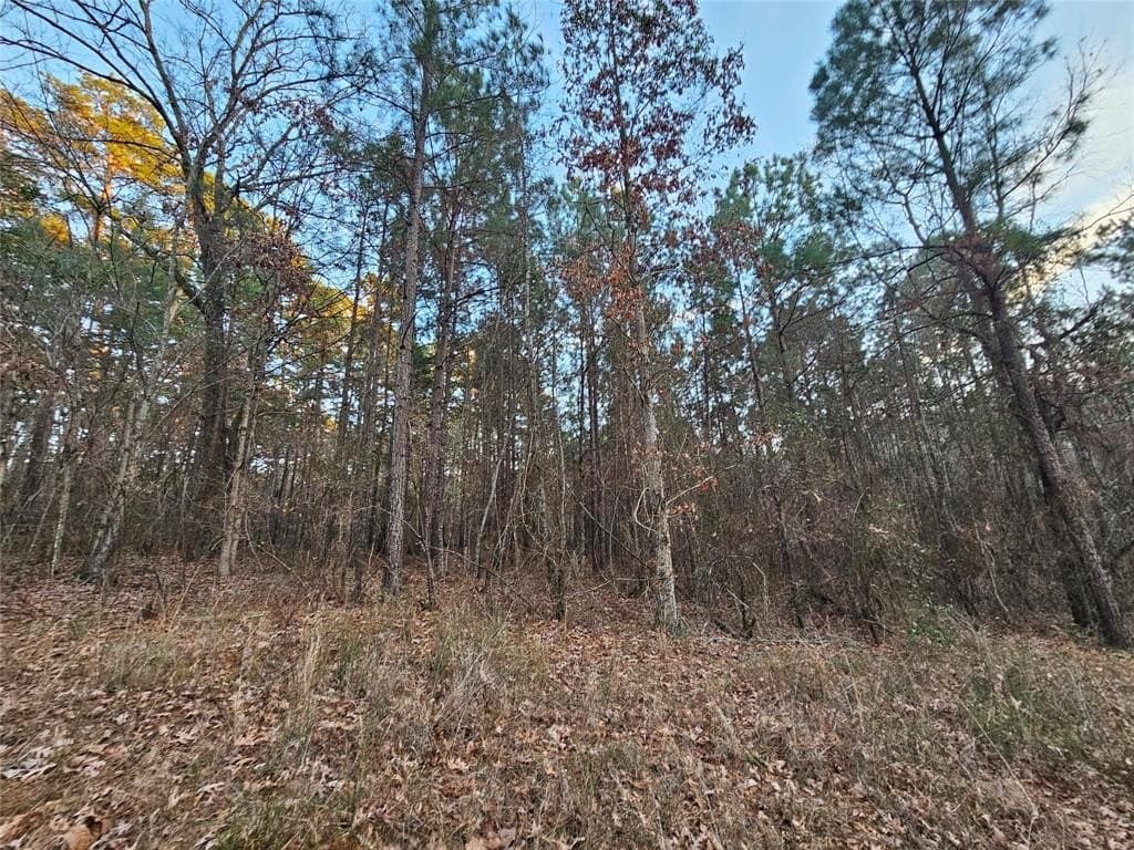 2 acres in Upshur County gallery image 3