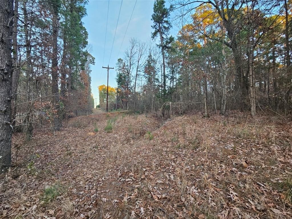 2 acres in Upshur County gallery image 4