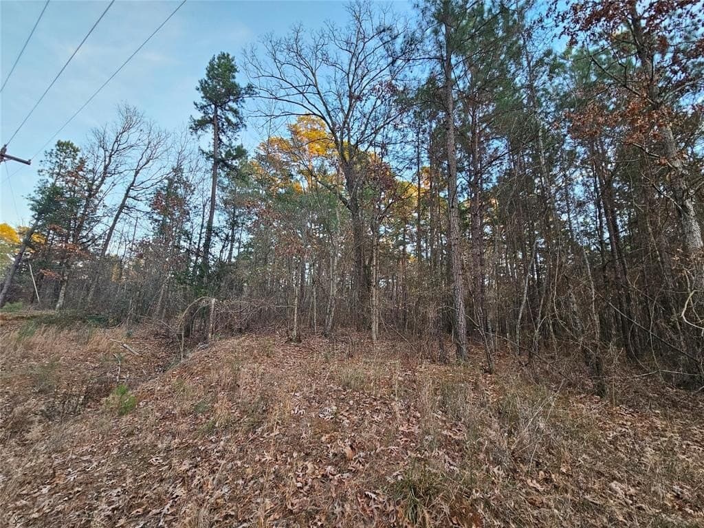 2 acres in Upshur County gallery image 2