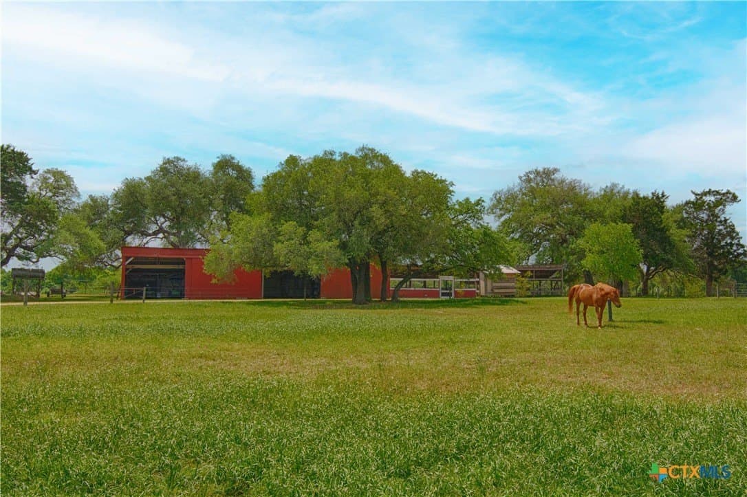 37.76 acres in Lavaca County gallery image 3