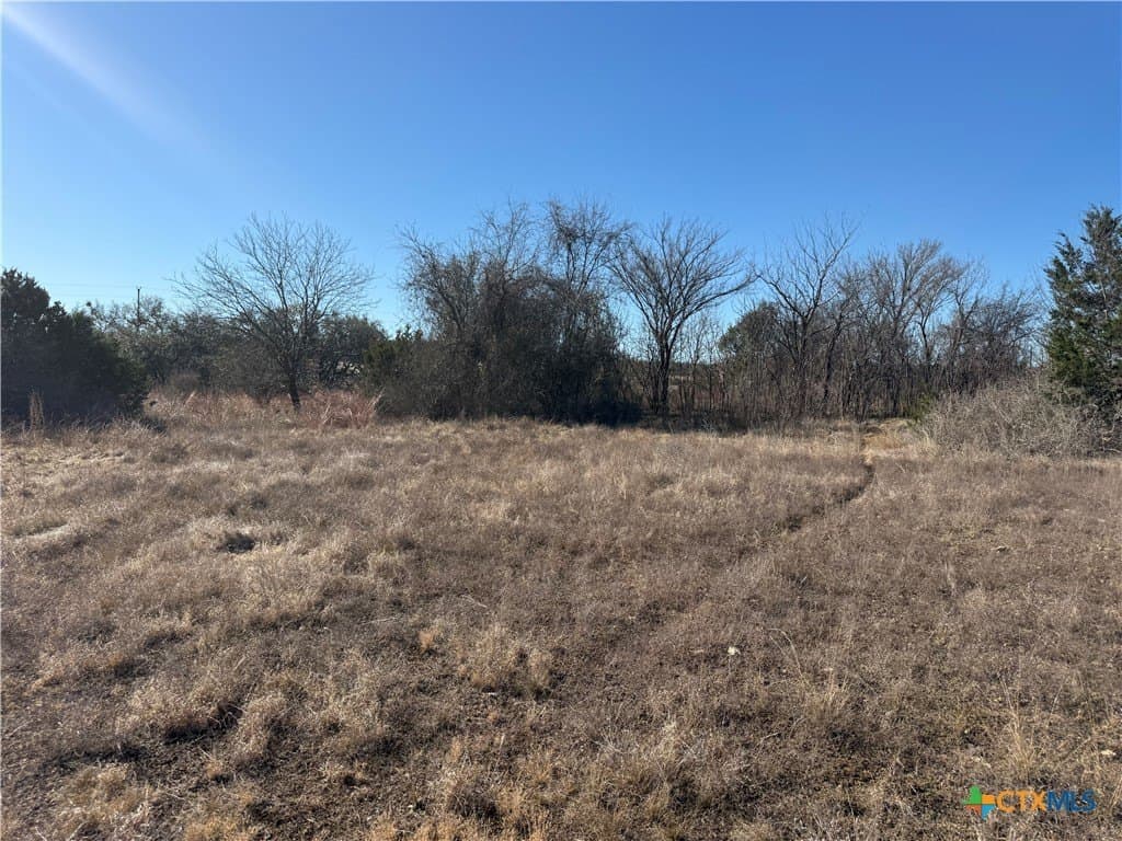 6.9 acres in Burnet County gallery image 4