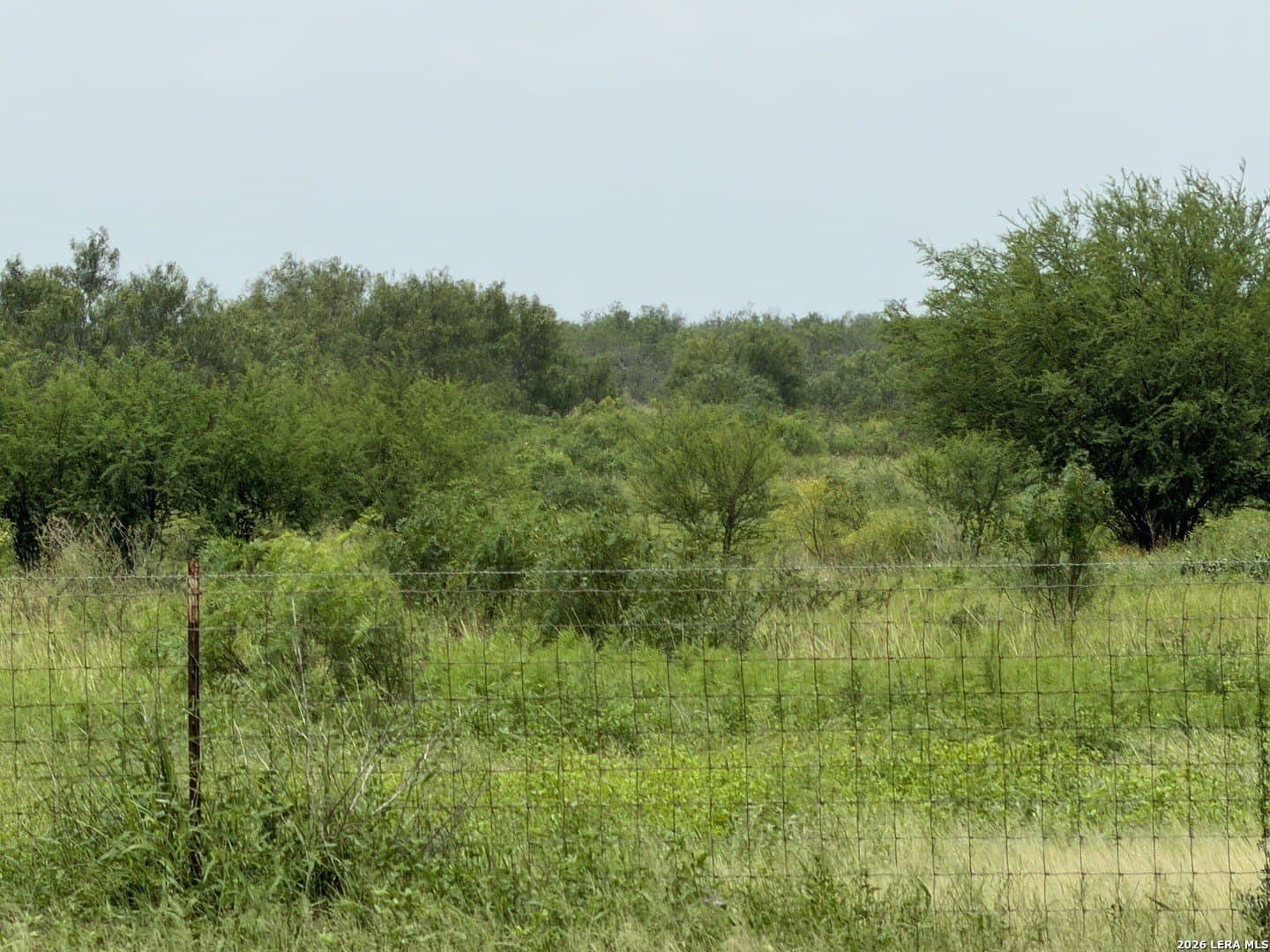 20.71 acres in Atascosa County - photo 37