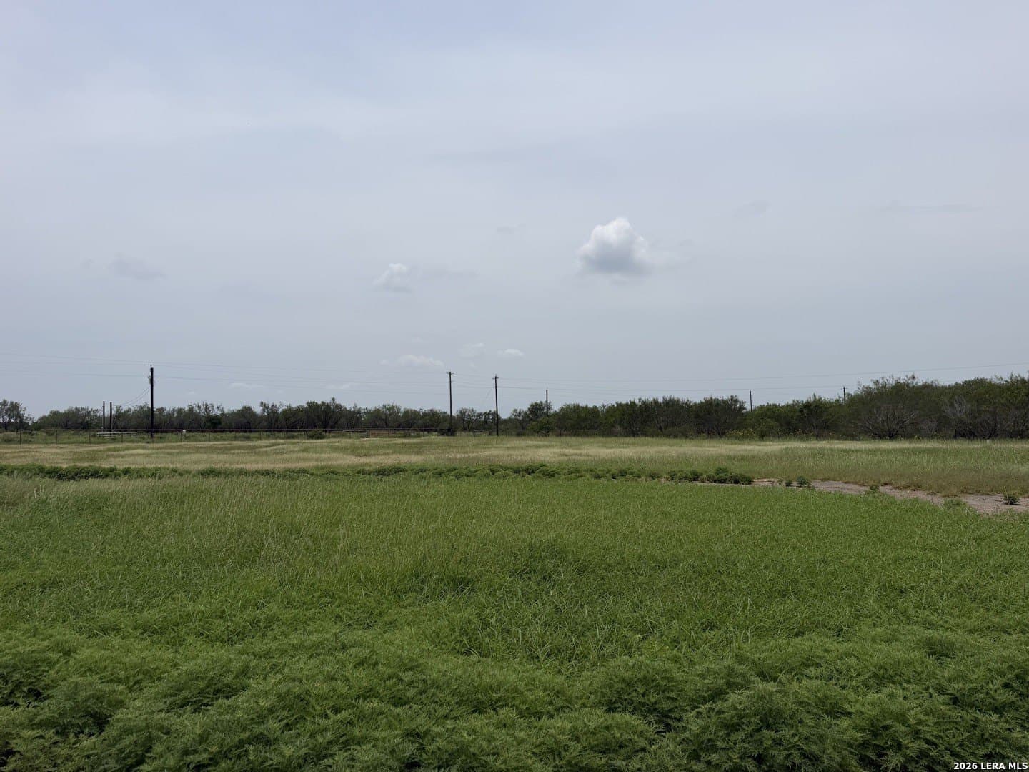 20.71 acres in Atascosa County - photo 41