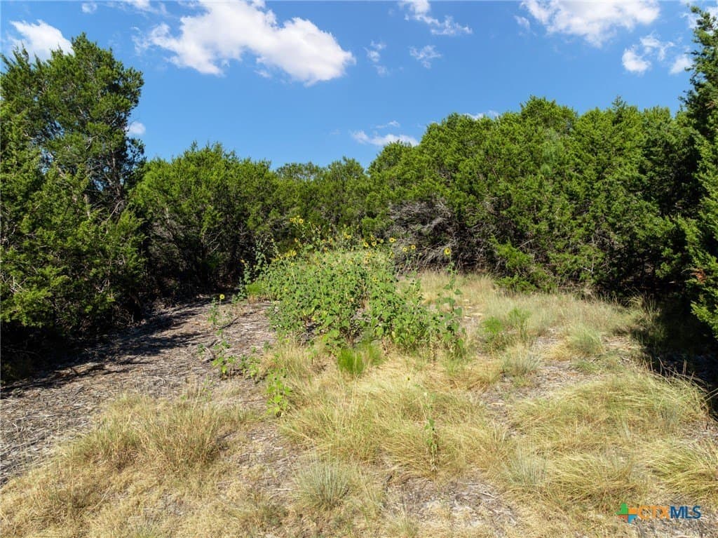 3.19 acres in Coryell County - photo 30