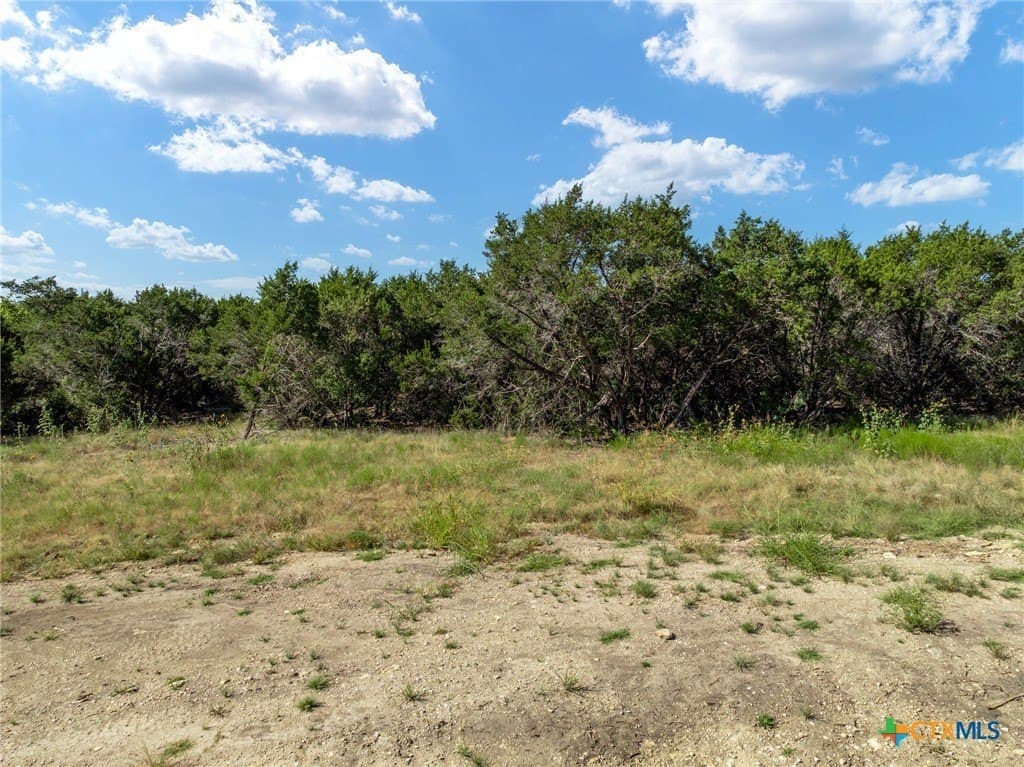 3.19 acres in Coryell County - photo 18