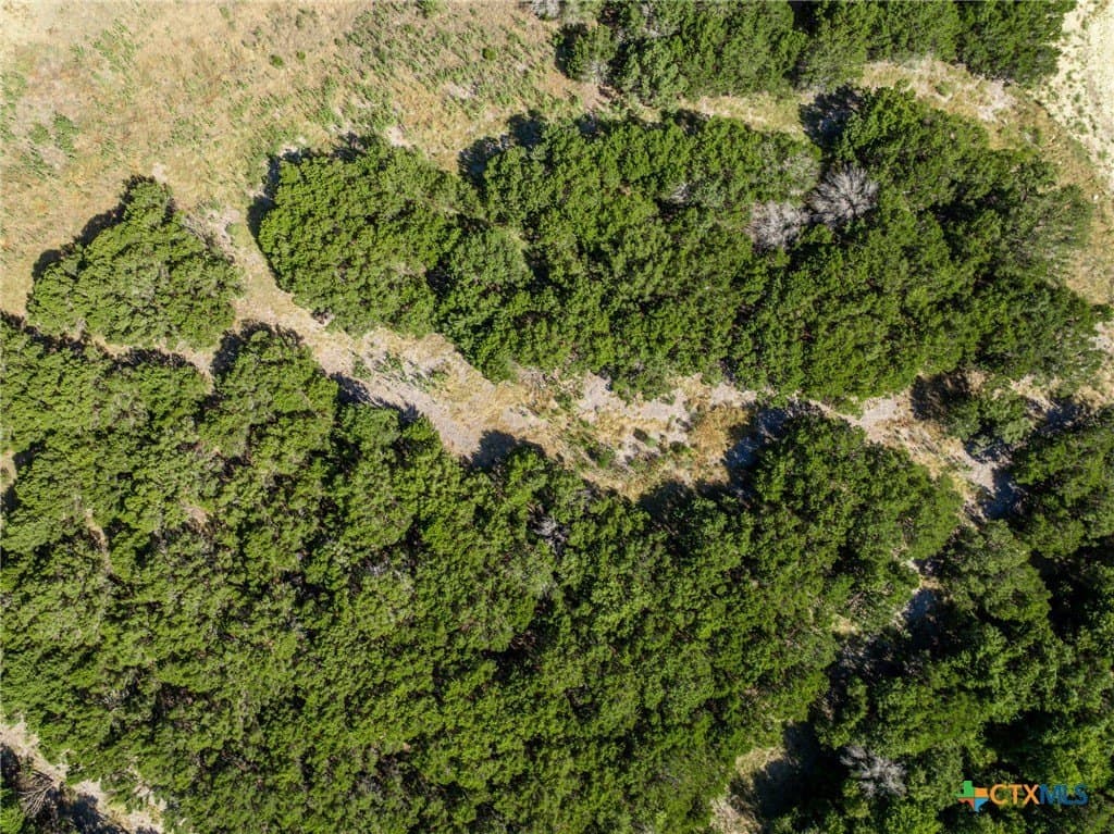 3.19 acres in Coryell County - photo 34