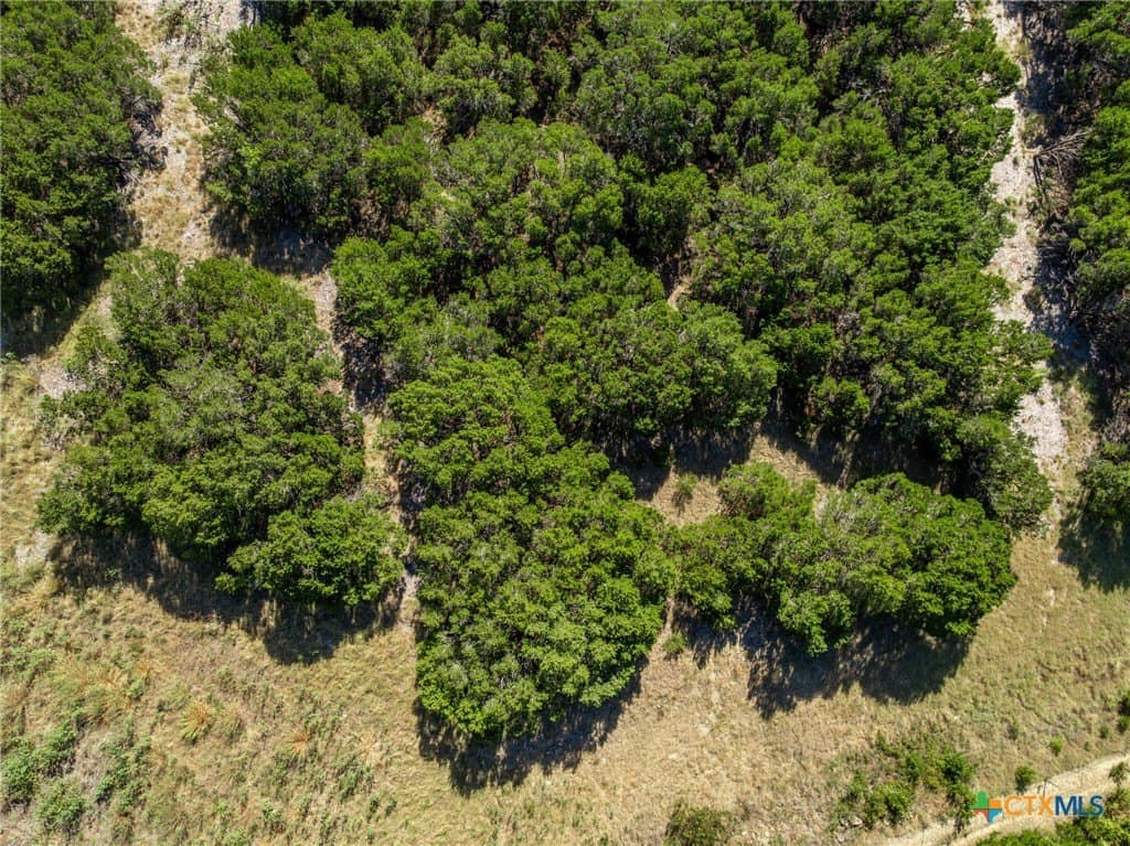 3.19 acres in Coryell County - photo 26